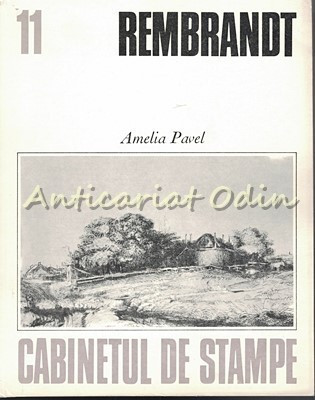 Rembrandt - Amelia Pavel