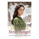 Stray Angel