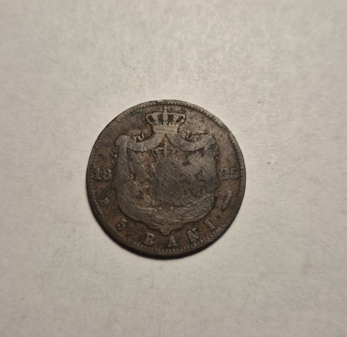 5 Bani 1885