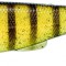 Gunzilla 19cm Clear Pike Ghost Stripe Perch