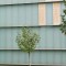 A Kassen: Dimensions Variable