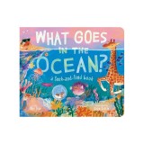 What Goes in the Ocean?: A Seek-And-Find Book