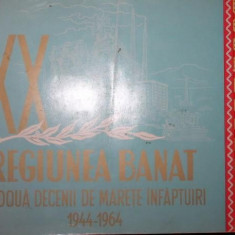 REGIUNEA BANAT IN DOUA DECENII DE MARETE INFAPTUIRI 1944 1964