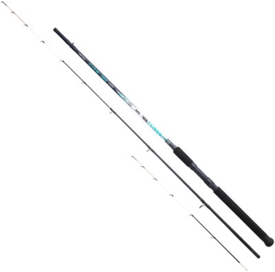 Lanseta SUNSET Marley SW, 100-200g, 2.40m, 2+2seg foto