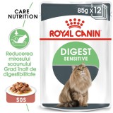Hrana umeda pisica Royal Canin Digest Sensitive Care Adult, confort digestiv, in sos, 85 g