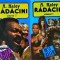 Alex Haley - Radacini, 2 volume