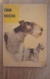 CAINII NOSTRI , BULETIN DOCUMENTAR , NR.1/1989