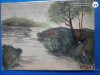 Carte postala executata manual de pictorul Frumusanu , in anul 1906 , pictura pe foaie subtire de lemn , lucrare unicat , exceptionala, Peisaje, Ulei, Realism, ART