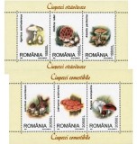 Romania 2003 - Ciuperci comestibile, blocuri neuzate