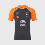 Mclaren Honda tricou de bărbați Oscar Piastri official Teamline Replica grey F1 Team 2025 - L