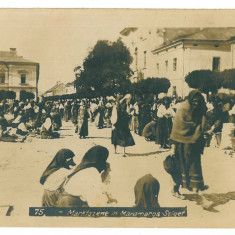 2461 - SIGHET, Maramures Market - old postcard, real Photo 12,5/9 cm - used 1917