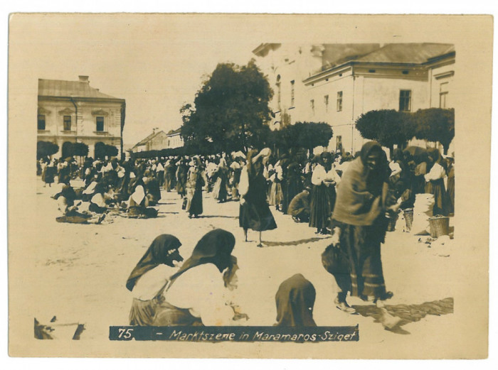 2461 - SIGHET, Maramures Market - old postcard, real Photo 12,5/9 cm - used 1917