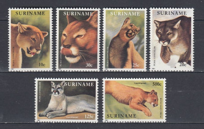Surinam 1991 - Feline - PUMA - MNH foto