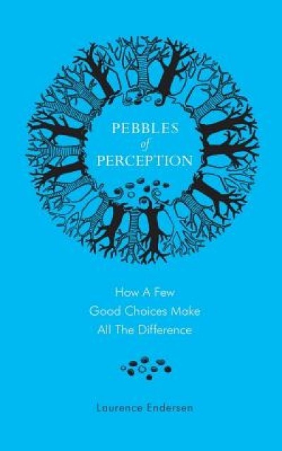 Pebbles of Perception: How a Few Good Choices Make All the Difference
