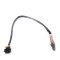 Sonda lambda PORSCHE MACAN 95B 2018 OEM: 95B906203C 11718985