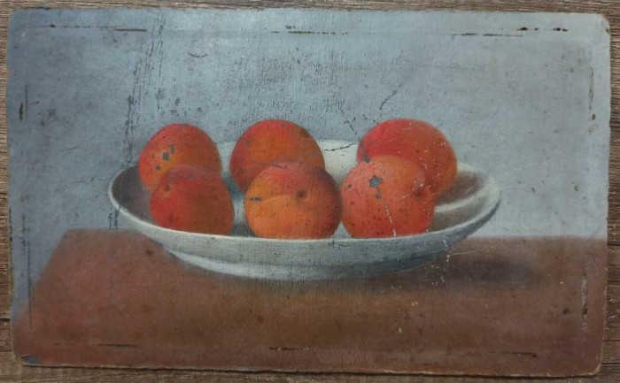 Natura statica cu caise// academism, ulei pe carton, Barbulescu 1908