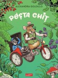 Poșta Chiț - Hardcover - Grafic Art