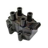 Meat &amp;amp; Doria bobina de inductie