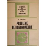 PROBLEME DE TRIGONOMETRIE-FANICA TURTOIU-110856