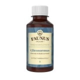 TINCTURA GLICONORMUS 200ML