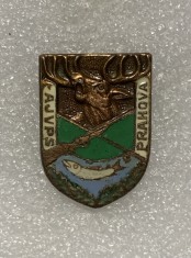 Insigna v&amp;acirc;nătoare AJVPS Prahova foto