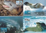 Australian Antarctic 2001 - Fauna WWF, serie 4 carti poștale maxime