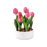 Cumpara ieftin Lalele artificiale roz in ghiveci ceramica alba 18,5 x 32 cm