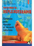 Ion Chiriuță - Incursiune &icirc;n reflexoterapie - Sănătate prin masaje și remedii naturiste (editia 2001)