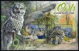 Timbre Malawi 2022, Bufnite (6), Coala Noua, Straine dupa 1950, Colectie Filatelie