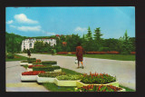 CPIB 19786 CARTE POSTALA - BRASOV, Circulata, Fotografie