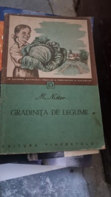 Gradinita de legume - M. Nistor foto