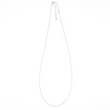 Lantisor delicat argintiu