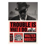 Trouble is What I Do