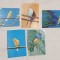Pasari - Carte Postala veche &amp; 3 calendar Lot x 5 bucati