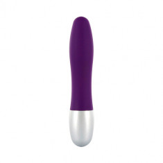 Vibratoare clasice - Discretie Mini Glont Vibrator Senzatie Neteda si Matasoasa - culoare Violet