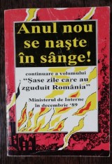 ANUL NOU SE NASTE IN SANGE - MINISTERUL DE INTERNE IN DECEMBRIE 1989 foto