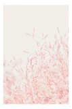 Tablou Canvas cu Flori Rozalii, Art decor romantic pentru interior, 26 x 39 cm, CMCLASS