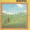 Muntii Cindrel. Ghid Turistic - Mircea Buza, S- Muntii Nostri Nr.: 28