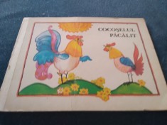 COCOSELUL PACALIT foto