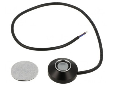 Button Memory Reader DS1920/DS1990A foto