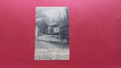 Maramures Sighetul Marmatiei Maramarossziget Slatina M&amp;aacute;ramaros P&amp;aacute;vel s&amp;oacute;sf&amp;uuml;rdő foto
