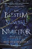 Un blestem sumbru și nimicitor (seria Distrugătorii de blesteme, vol. 1) - Brigid Kemmerer - Editura Corint