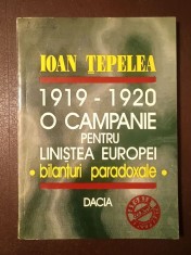Ioan Țepelea - 1919-1920: O campanie pentru liniștea Europei: bilanțuri paradoxale