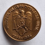 Unitatea Militara 01794 Alba Iulia, insigna Rara