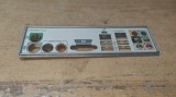 Backplate Schield PC #A6316