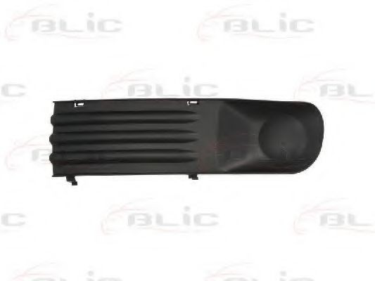 Grila ventilatie, bara protectie VW TRANSPORTER V caroserie (7HA, 7HH, 7EA, 7EH) (2003 - 2016) BLIC 6502-07-9568913P