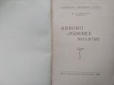 ARBORII SI PADURILE NOASTRE.D.A.SBURLAN-1936 S1.