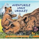 Aventurile unui Ursulet&iuml;&raquo;&iquest;