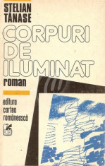 Corpuri de iluminat foto