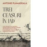 Trei ceasuri in iad - Antonie Plamadeala